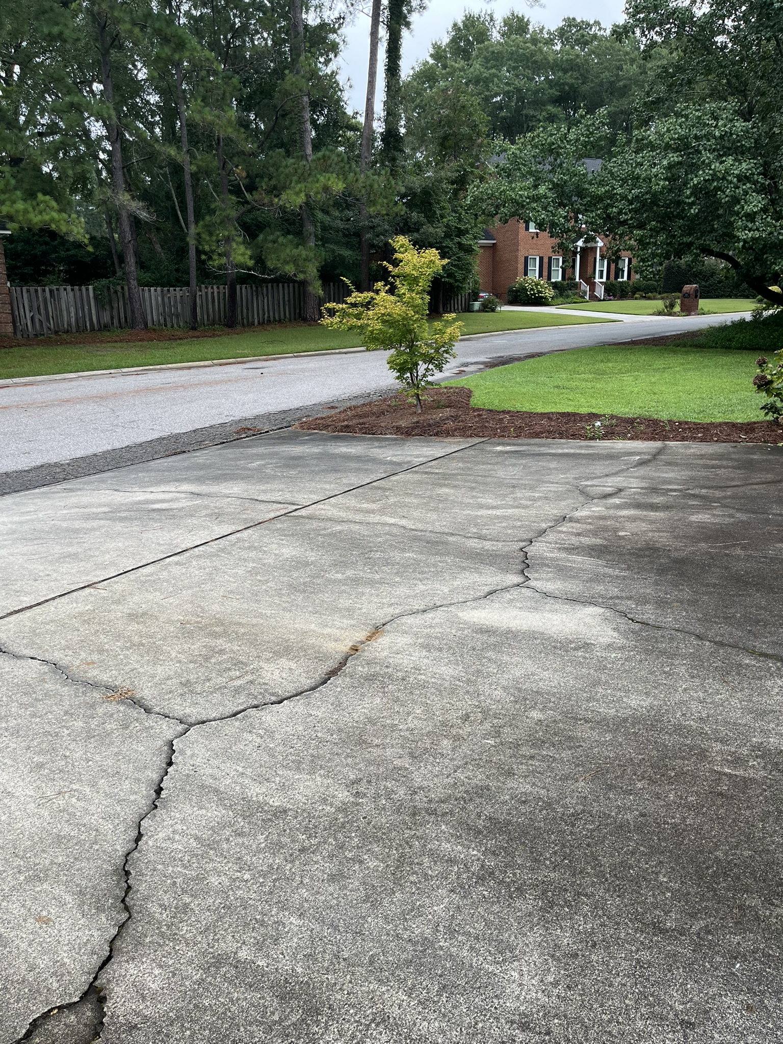 Dirty driveway before cleaning
